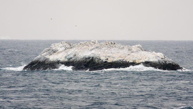 Zufallsfund im ewigen Eis: Diese Insel sah auf den ersten Blick einem Eisberg zum Verwechseln ...