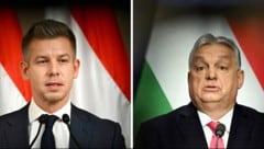 Péter Magyar fordert Viktor Orbán heraus.
