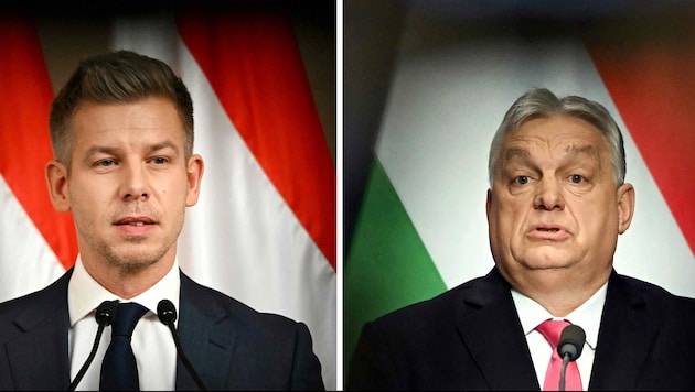 Péter Magyar fordert Viktor Orbán heraus.