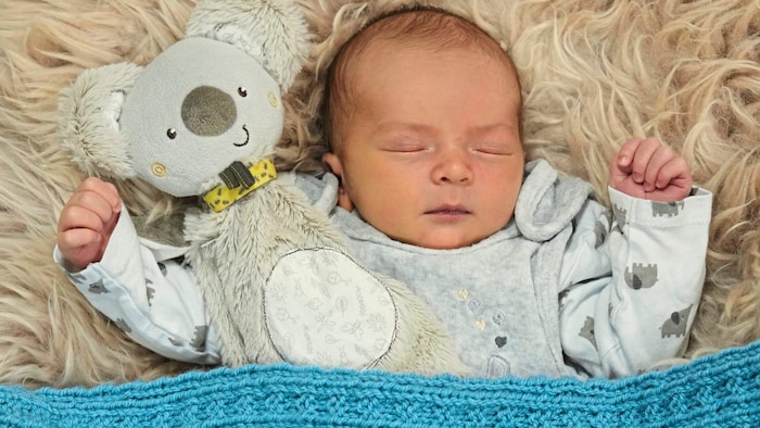 Niklas Pillhofer aus Rohrbach