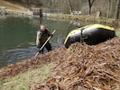 Freiwillige räumten mit Booten oder Schubkarren die Schilfmassen weg.