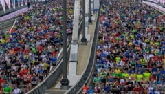 Schwitzen auf hohem Niveau: auf der Donaubrücke beim Marathon 2025