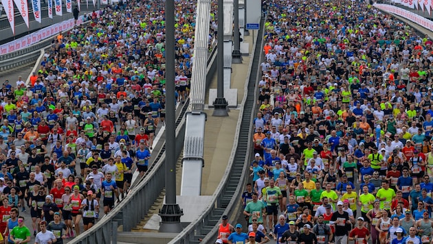 Schwitzen auf hohem Niveau: auf der Donaubrücke beim Marathon 2025