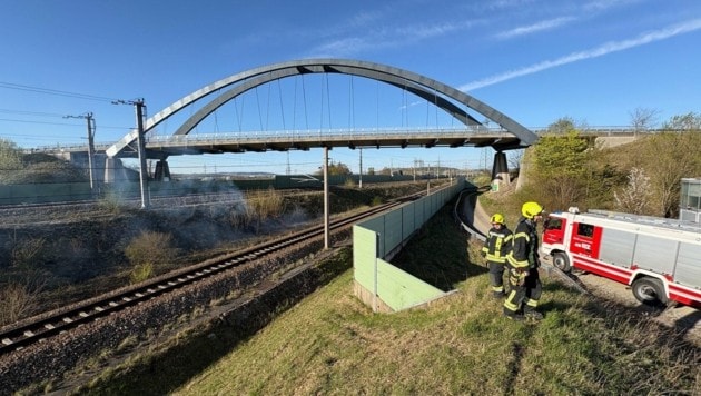 Mehrere Böschungsbrände brachten den Zugverkehr auf der Weststrecke (Bild) oder Südbahnstrecke ...