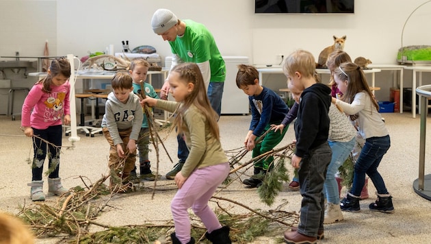 Kindergartenkinder aus Obervellach gestalten gemeinsam einen Bartgeierhorst und tauchen dabei ...