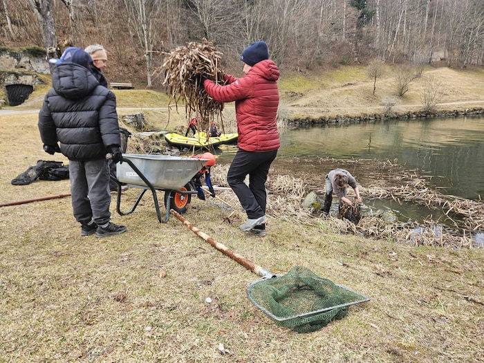 Der Teich wurde vom Schilf entfernt.