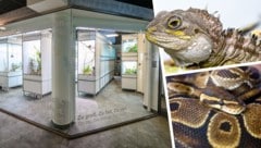 Transparenz als Programm: Besucher können durch eine große Glasfront direkt beobachten, wie die ...