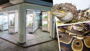 Transparenz als Programm: Besucher können durch eine große Glasfront direkt beobachten, wie die ...