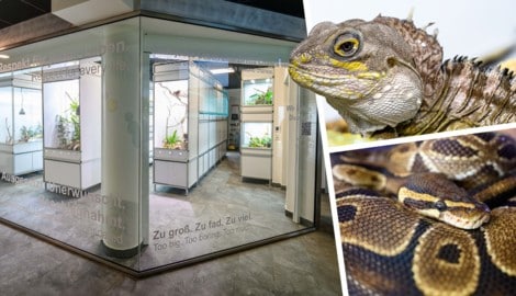 Transparenz als Programm: Besucher können durch eine große Glasfront direkt beobachten, wie die ...