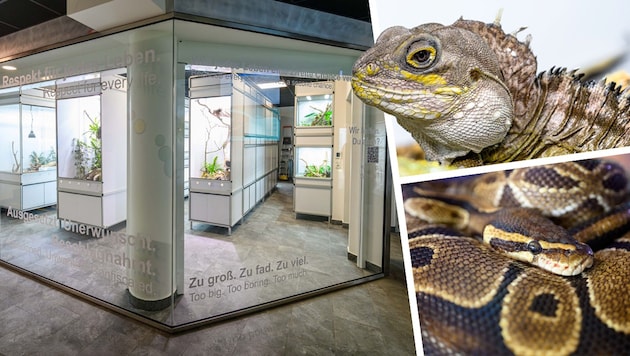 Transparenz als Programm: Besucher können durch eine große Glasfront direkt beobachten, wie die ...