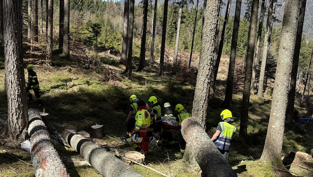 Glücklicherweise war der Mann nicht unter den Baumstämmen eingeklemmt.