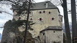 Schloss Stein in Dellach im Drautal 