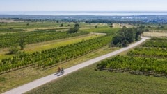 In einem Welterbegebiet müssen Kultur, Tourismus, Wirtschaft und Natur unter einen Hut gebracht ...