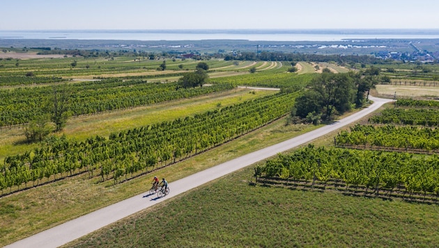 In einem Welterbegebiet müssen Kultur, Tourismus, Wirtschaft und Natur unter einen Hut gebracht ...