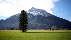 Trotz Frühlingssonne herrschen am Untersberg zurzeit noch winterliche Bedingungen.