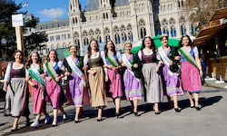 Catwalk am Rathausplatz: Die steirischen Hoheiten setzten sich für den „Krone“-Fotografen in ...