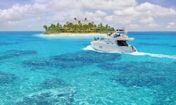 Der Vorfall ereignete sich im Atlantik nahe dem paradiesischen Elbow Cay in den Abaco-Inseln, ...