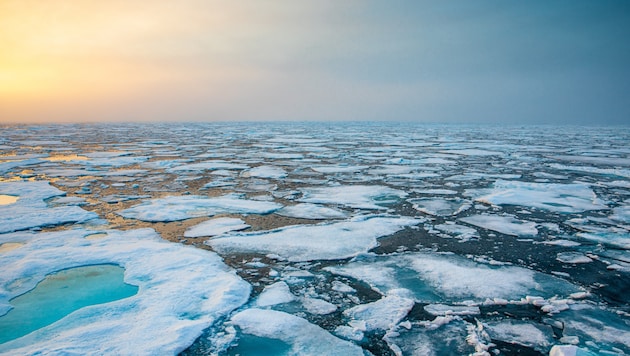 Im März wurde ein neuer Tiefstand beim arktischen Meereis gemessen (Symbolbild).