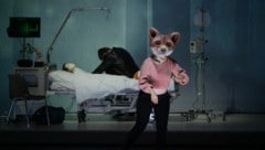 Füchsin Hannah zwischen Realität und Zwischenwelt.