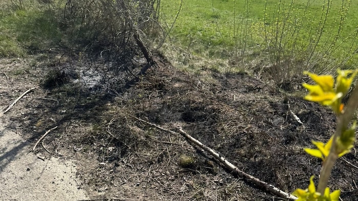 Schon vor dem Eintreffen der Feuerwehr hatte das Bundesheer den Kleinbrand gelöscht.
