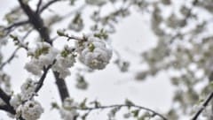 Der April holt am Freitag noch einmal kurz den Winter zurück (Symbolbild).