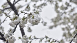 Der April holt am Freitag noch einmal kurz den Winter zurück (Symbolbild).