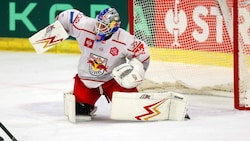 Atte Tolvanen und die Eisbullen kennen ihre Gegner in der CHL.