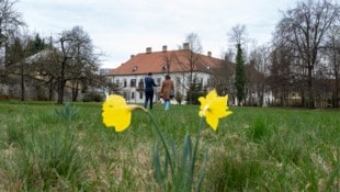 In diesem Park wandelte Marianna, die Erherzogin aus dem Hause Habsburg. Für sie wurden Schloss ...