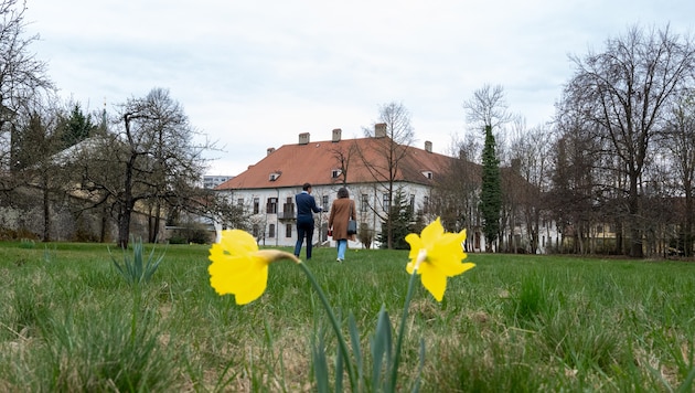 In diesem Park wandelte Marianna, die Erherzogin aus dem Hause Habsburg. Für sie wurden Schloss ...