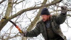 Ragen Äste über den Zaun und stören den Nachbarn, darf man sie absägen.