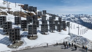 Nach und nach wachsen die Helioplant-Anlagen in die Höhe. Am Ende werden sie enorm zur ...