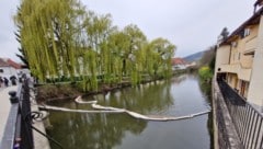 Erneut wurde die Lavant verschmutzt – diesmal direkt in der Innenstadt von Wolsberg.