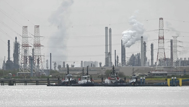 Die Einfahrt zum Hafen in Antwerpen, Nordbelgien, wo der Schiffsverkehr großteils zum Erliegen ...