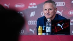 Salzburgs kaufmännischer Geschäftsführer Stephan Reiter.