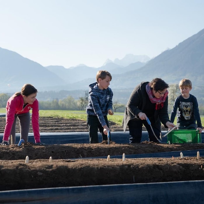 In Ludmannsdorf bietet Familie Weber ab 13. April Spargel an.