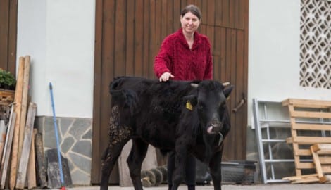 Die tägliche Arbeit mit ihren Tieren fällt Kerstin Hausegger immer schwerer.