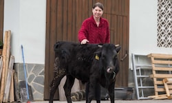 Die tägliche Arbeit mit ihren Tieren fällt Kerstin Hausegger immer schwerer.
