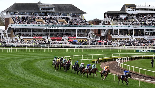 Zwei Pferde mussten nach Stürzen eingeschläfert werden.
