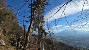 Von einem Team des Polizeihubschraubers wurde der Paragleiter-Pilot aus seiner misslichen Lage ...