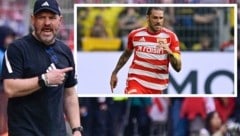 Steffen Baumgart (links, großes Bild) muss gehen – da kann auch Kapitän Christopher Trimmel ...