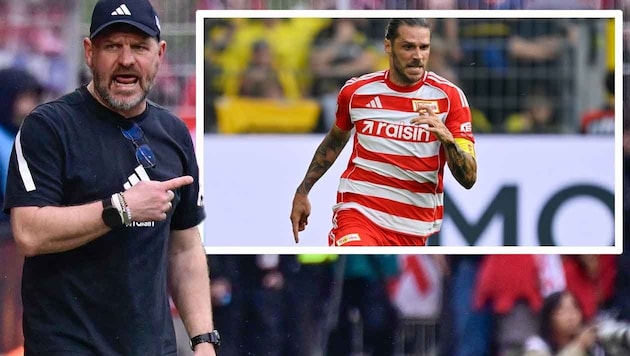 Steffen Baumgart (links, großes Bild) muss gehen – da kann auch Kapitän Christopher Trimmel ...