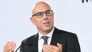 Der Direktor des Wirtschaftsforschungsinstituts, Gabriel Felbermayr