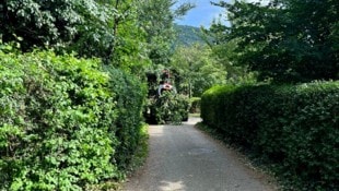 Genau diese Idylle in der Badesiedlung soll nun einer Asphaltwüste weichen.