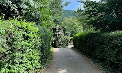 Genau diese Idylle in der Badesiedlung soll nun einer Asphaltwüste weichen.