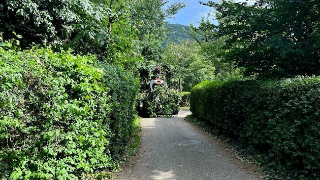 Genau diese Idylle in der Badesiedlung soll nun einer Asphaltwüste weichen.