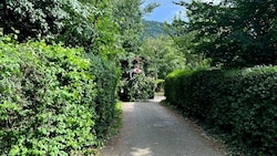 Genau diese Idylle in der Badesiedlung soll nun einer Asphaltwüste weichen.