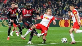 Bidstrup (M.) glaubt an den Titel.