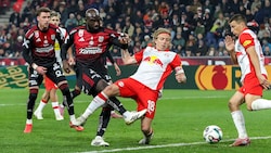 Bidstrup (M.) glaubt an den Titel.