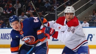 Reinbacher schnupperte erstmals NHL-Luft.