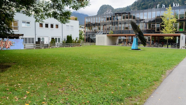 The shocking incident is said to have taken place in this park (file photo).